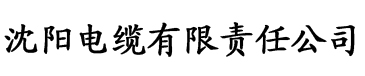 大海视频电缆厂logo